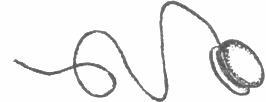 disegno