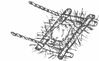disegno