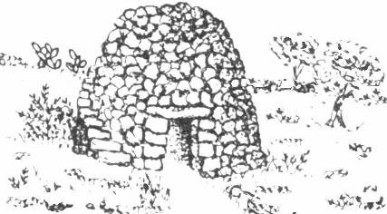 disegno