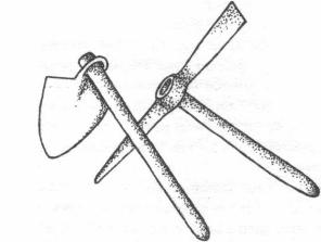 disegno
