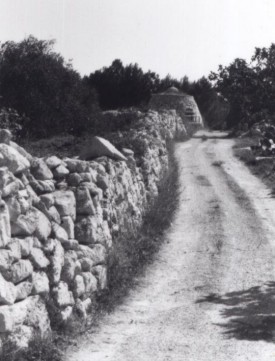 Viottola del sediolo